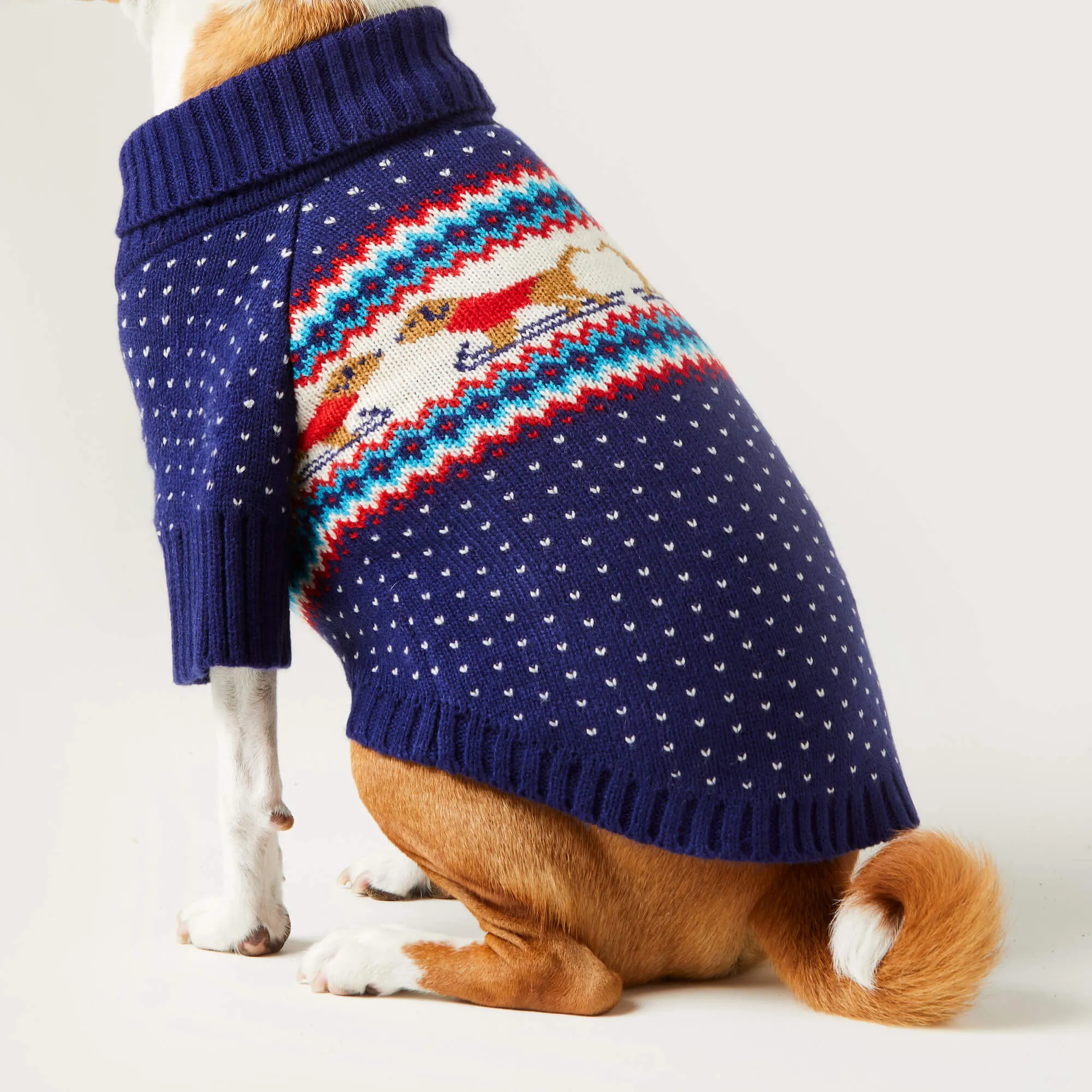 Gray Malin x TFD Hit the Slopes Dog Sweater